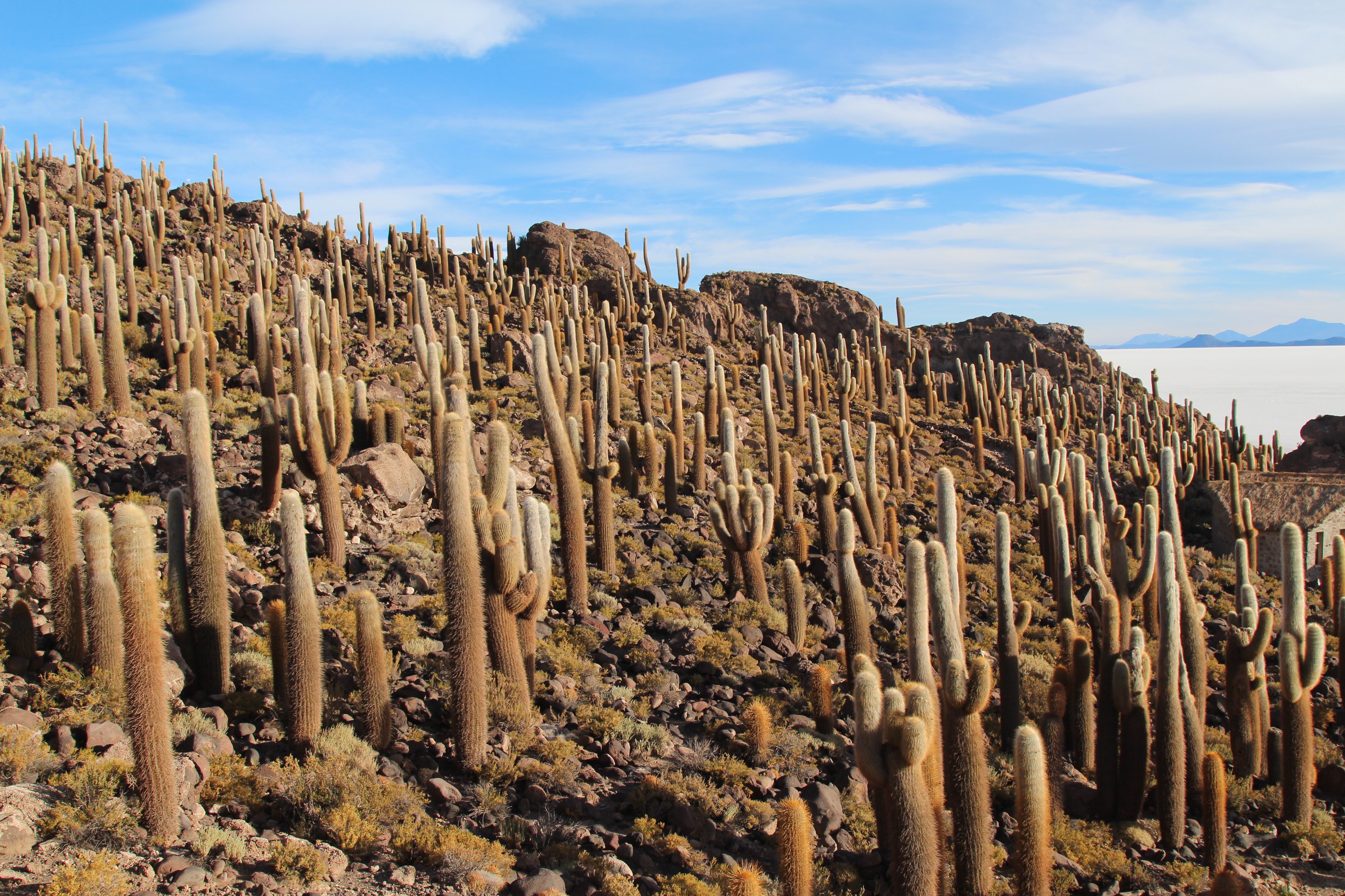 Jen Seiser Uyuni 12