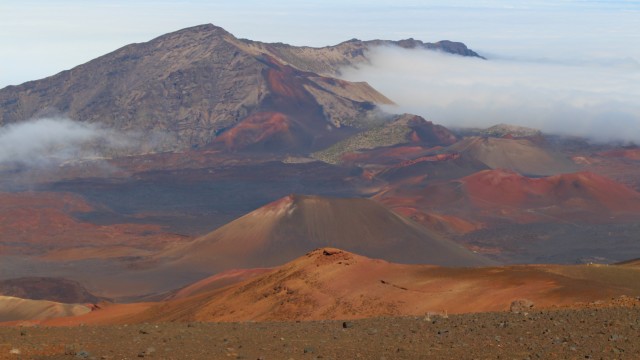 Maui