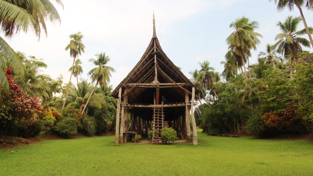 The Sepik River